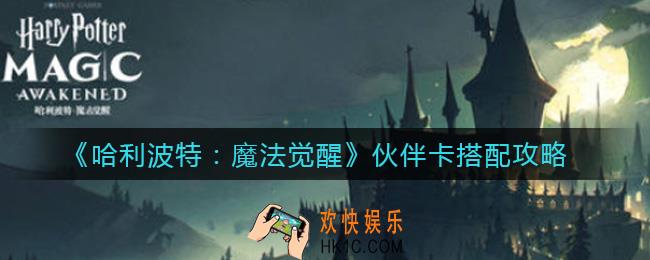 哈利波特魔法觉醒伙伴卡怎么搭配_伙伴卡搭配攻略