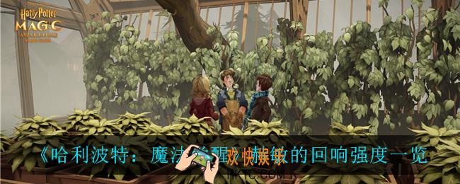 哈利波特魔法觉醒赫敏的回响怎么样_赫敏的回响强度一览