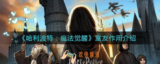 哈利波特魔法觉醒室友有什么用_室友作用介绍