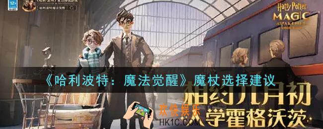 哈利波特魔法觉醒魔杖怎么选择_魔杖选择建议