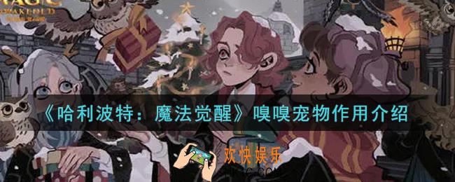哈利波特魔法觉醒嗅嗅宠物有什么用_嗅嗅宠物作用介绍
