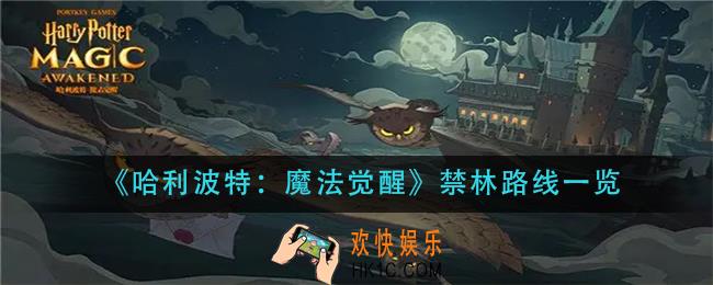 哈利波特魔法觉醒禁林怎走_禁林路线一览