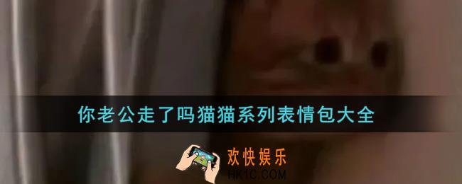你老公走了吗猫猫系列表情包分享_你老公走了吗猫猫系列表情包大全