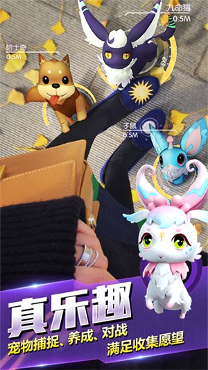 萌宠大爆炸
