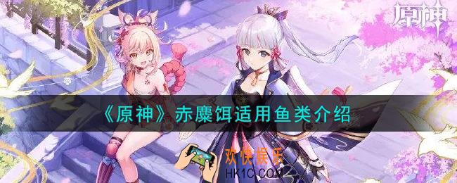 原神赤麋饵适用什么鱼_赤麋饵适用鱼类介绍