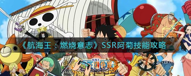 航海王燃烧意志SSR阿菊技能怎么加点_SSR阿菊技能攻略