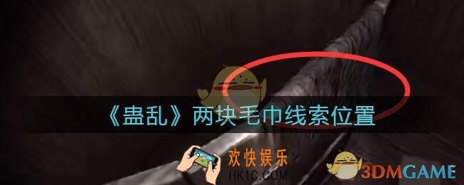 孙美琪疑案蛊乱两块毛巾在哪里_两块毛巾线索获取位置