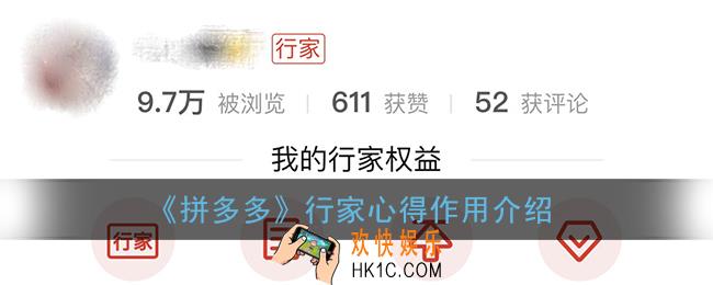 拼多多行家有什么用_拼多多行家心得是什么意思