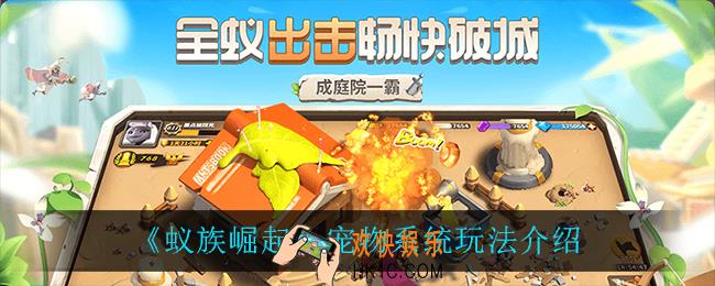 蚁族崛起宠物有什么用_宠物系统玩法介绍