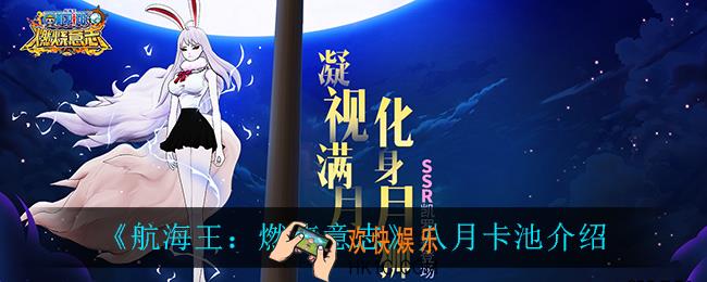 航海王燃烧意志8月上线什么卡池_八月卡池介绍