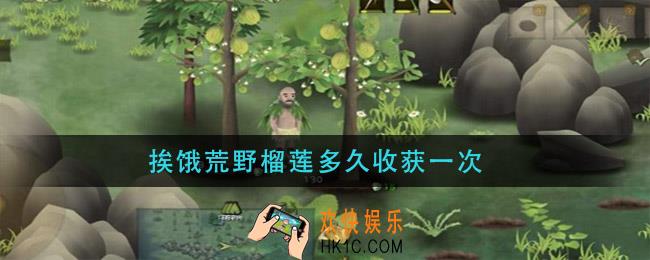 挨饿荒野榴莲多久收获一次_榴莲收获时间介绍