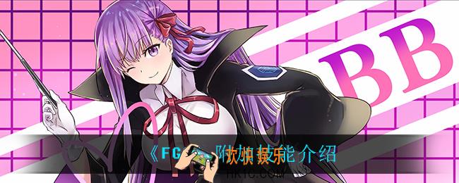 fgo附加技能是什么意思_附加技能介绍