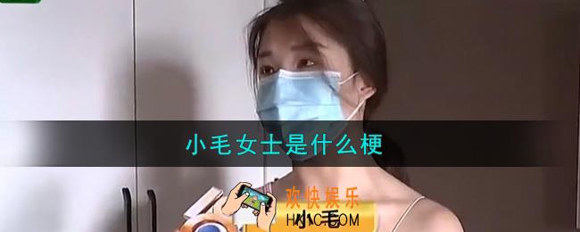小毛女士是什么梗_小毛女士梗的意思及出处介绍