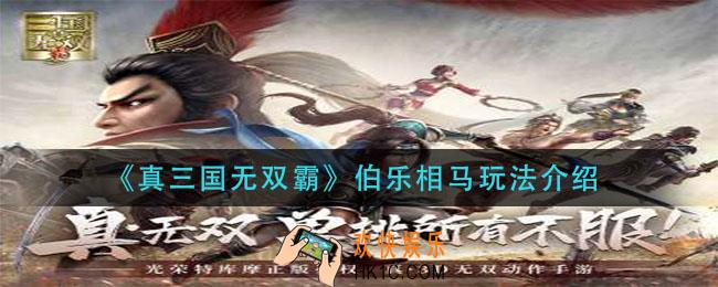 真三国无双霸伯乐相马怎么玩_伯乐相马玩法介绍