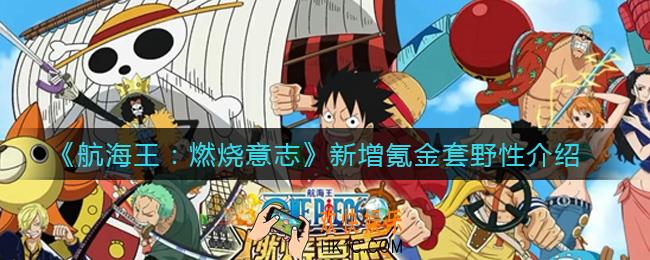 航海王燃烧意志新增氪金套野性是什么_新增氪金套野性介绍
