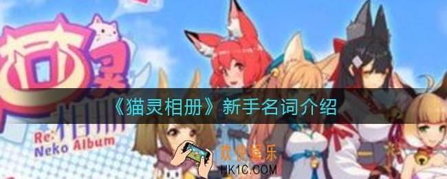 猫灵相册新手名词有哪些_新手名词介绍