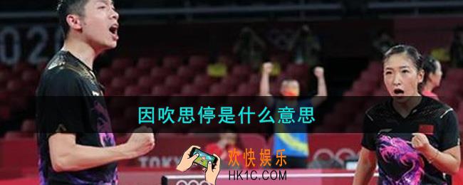 因吹思停是什么意思_因吹思停是什么梗
