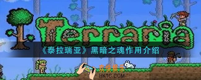 泰拉瑞亚黑暗之魂有什么用_黑暗之魂作用介绍