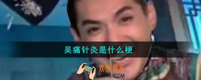 吴痛针灸是什么梗_吴痛针灸什么意思