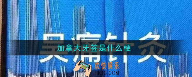 加拿大牙签是什么梗_加拿大牙签什么意思