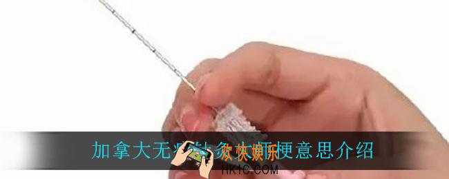 加拿大无痛针灸大师是什么梗_加拿大无痛针灸大师梗意思介绍