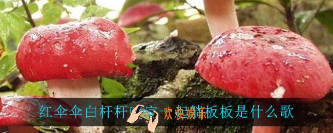 红伞伞白杆杆吃完一起躺板板是什么歌_红伞伞白杆杆吃完一起躺板板歌曲介绍