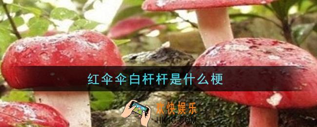 红伞伞白杆杆是什么梗_红伞伞白杆杆意思介绍