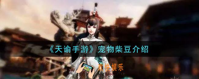 天谕手游宠物柴豆怎么样_宠物柴豆介绍