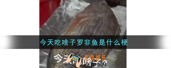 今天吃啥子罗非鱼是什么梗_今天吃啥子罗非鱼原视频