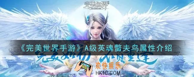 完美世界手游A级英魂蟞夫鸟怎么样_A级英魂蟞夫鸟属性介绍