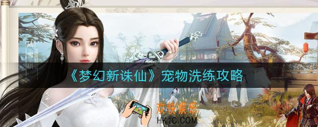 梦幻新诛仙宠物洗练怎么玩_宠物洗练攻略