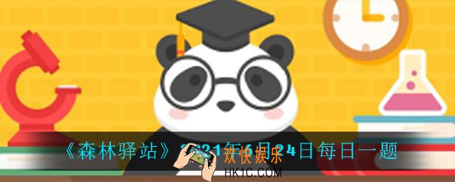 猜猜看大象大概在40岁的时候会换第几套臼齿_2021年6月24日每日一题