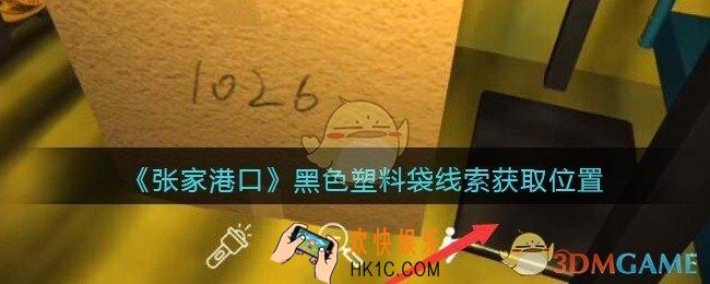 孙美琪疑案张家港口黑色塑料袋在哪里_黑色塑料袋线索获取位置