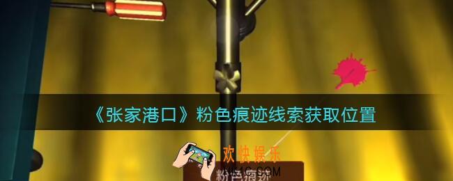 孙美琪疑案张家港口粉色痕迹在哪里_粉色痕迹线索获取位置