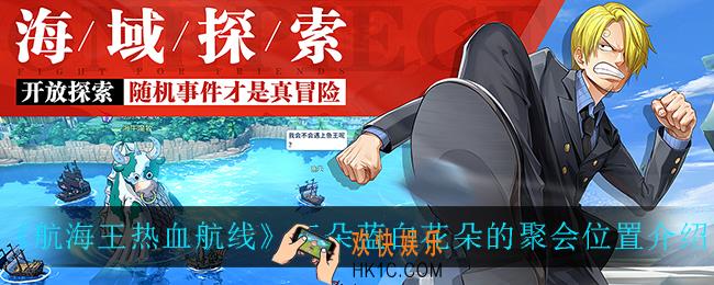 航海王热血航线三朵蓝白花朵的聚会位置在哪_三朵蓝白花朵的聚会位置介绍