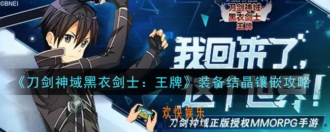 刀剑神域黑衣剑士王牌装备结晶怎么镶嵌_装备结晶镶嵌攻略