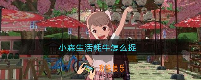 小森生活耗牛怎么捉_耗牛捕捉方法