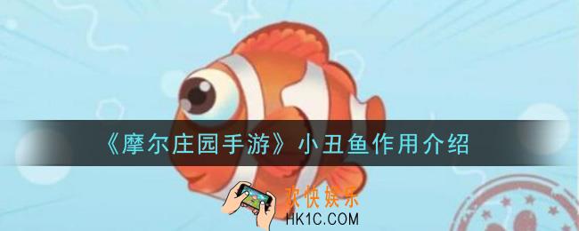 摩尔庄园手游小丑鱼有什么用_小丑鱼作用介绍