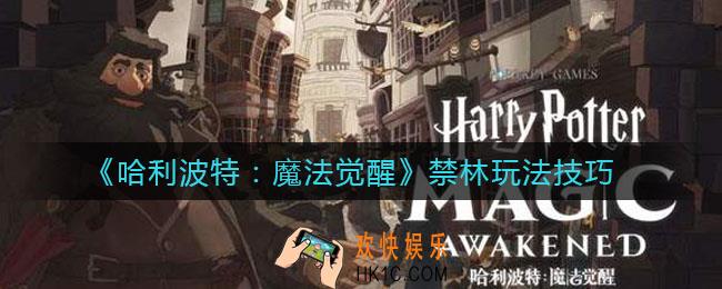哈利波特魔法觉醒禁林怎么玩_禁林玩法技巧