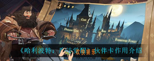 哈利波特魔法觉醒伙伴卡有什么用_伙伴卡作用介绍