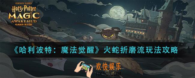哈利波特魔法觉醒火蛇折磨流怎么玩_火蛇折磨流玩法攻略