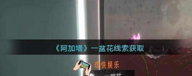 孙美琪疑案阿加塔攻略一盆花在哪里_一盆花线索获取位置