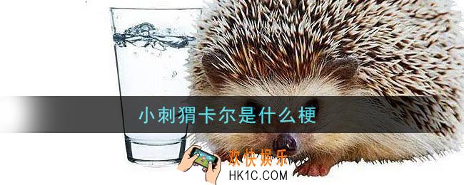 小刺猬卡尔是什么梗_小刺猬卡尔梗的意思及出处介绍