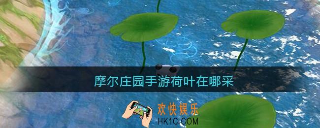 摩尔庄园手游荷叶在哪采_荷叶获取方法位置