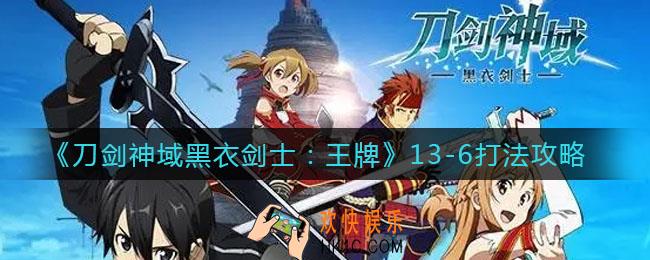 刀剑神域黑衣剑士王牌13