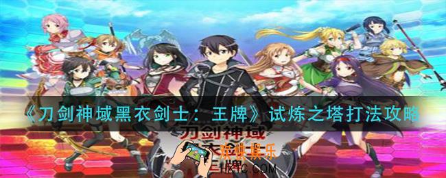 刀剑神域黑衣剑士王牌试炼之塔怎么打_试炼之塔打法攻略
