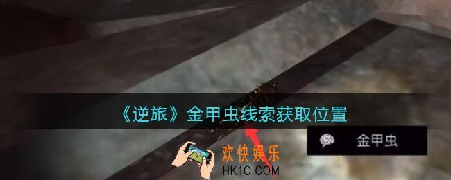 孙美琪疑案逆旅金甲虫在哪里_逆旅金甲虫线索获取位置