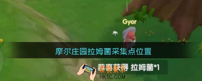 摩尔庄园拉姆菌采集点位置_摩尔庄园拉姆菌在哪采