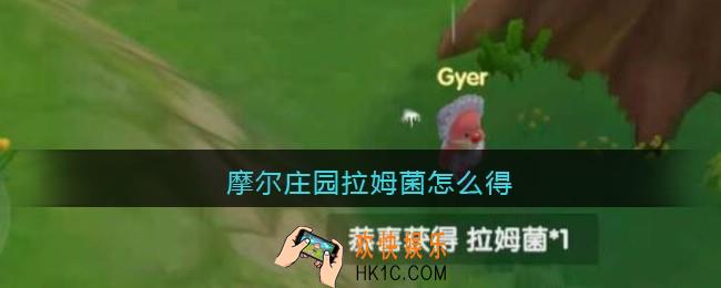摩尔庄园拉姆菌怎么得_摩尔庄园拉姆菌获取方法及作用