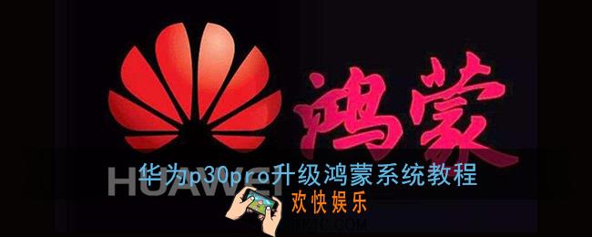 华为p30pro怎么升级鸿蒙_华为p30pro升级鸿蒙os系统教程